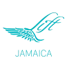 Lift Foil Jamaica efoiling