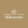 efoil service logo fly surf partner